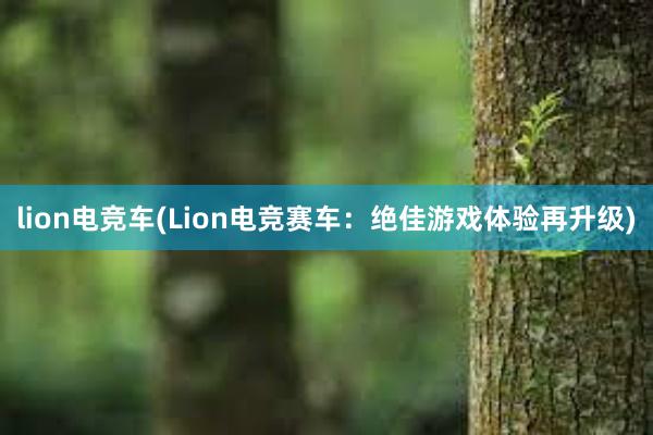 lion电竞车(Lion电竞赛车：绝佳游戏体验再升级)