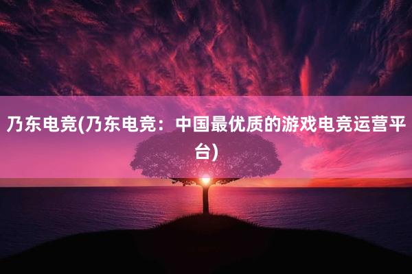 乃东电竞(乃东电竞：中国最优质的游戏电竞运营平台)