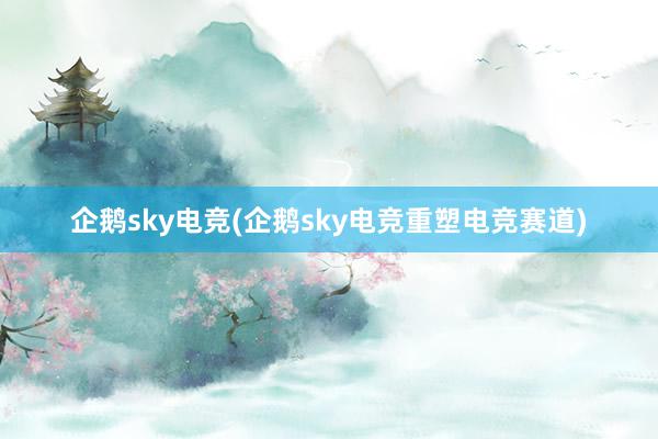 企鹅sky电竞(企鹅sky电竞重塑电竞赛道)