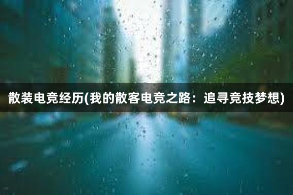 散装电竞经历(我的散客电竞之路：追寻竞技梦想)