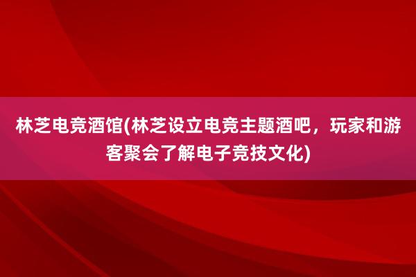 林芝电竞酒馆(林芝设立电竞主题酒吧，玩家和游客聚会了解电子竞技文化)