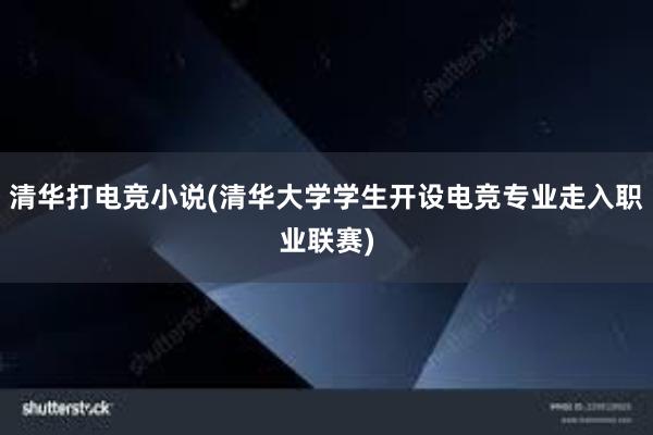 清华打电竞小说(清华大学学生开设电竞专业走入职业联赛)