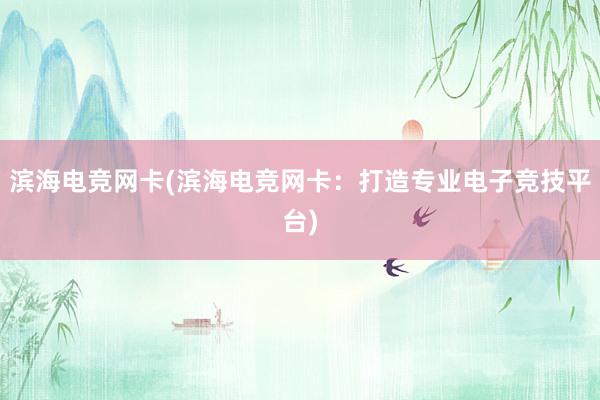 滨海电竞网卡(滨海电竞网卡：打造专业电子竞技平台)