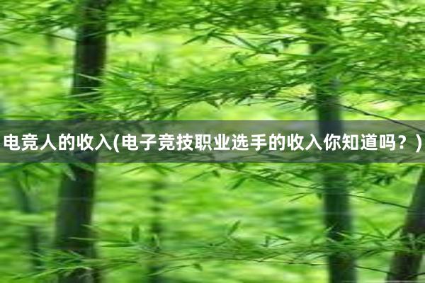 电竞人的收入(电子竞技职业选手的收入你知道吗？)