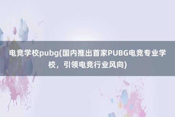 电竞学校pubg(国内推出首家PUBG电竞专业学校，引领电竞行业风向)