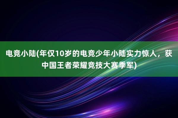 电竞小陆(年仅10岁的电竞少年小陆实力惊人，获中国王者荣耀竞技大赛季军)