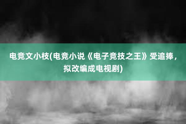 电竞文小枝(电竞小说《电子竞技之王》受追捧，拟改编成电视剧)