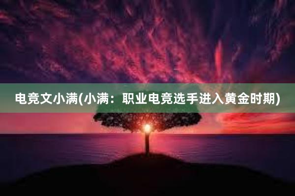 电竞文小满(小满：职业电竞选手进入黄金时期)