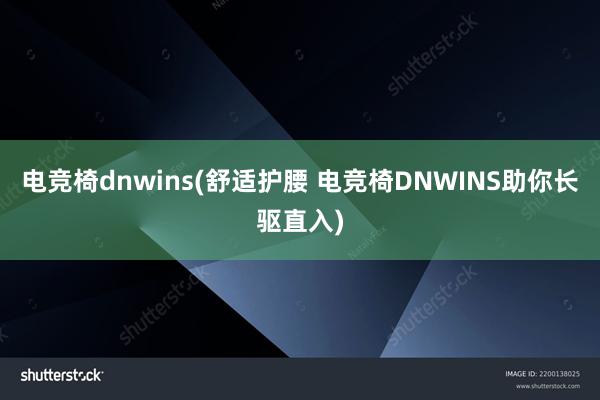 电竞椅dnwins(舒适护腰 电竞椅DNWINS助你长驱直入)