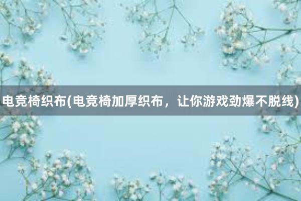 电竞椅织布(电竞椅加厚织布，让你游戏劲爆不脱线)