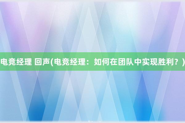 电竞经理 回声(电竞经理：如何在团队中实现胜利？)