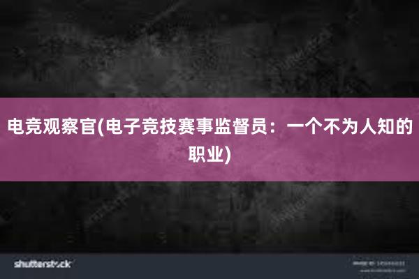 电竞观察官(电子竞技赛事监督员：一个不为人知的职业)