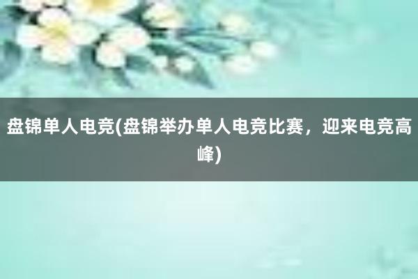 盘锦单人电竞(盘锦举办单人电竞比赛，迎来电竞高峰)