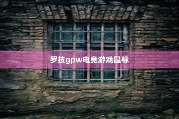 罗技gpw电竞游戏鼠标