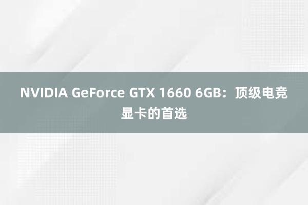 NVIDIA GeForce GTX 1660 6GB：顶级电竞显卡的首选