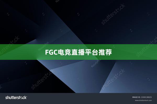 FGC电竞直播平台推荐