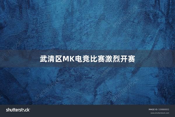 武清区MK电竞比赛激烈开赛