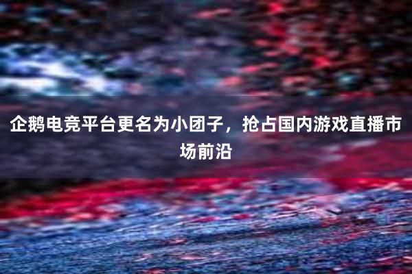 企鹅电竞平台更名为小团子，抢占国内游戏直播市场前沿