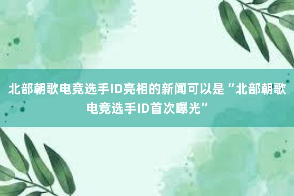 北部朝歌电竞选手ID亮相的新闻可以是“北部朝歌电竞选手ID首次曝光”