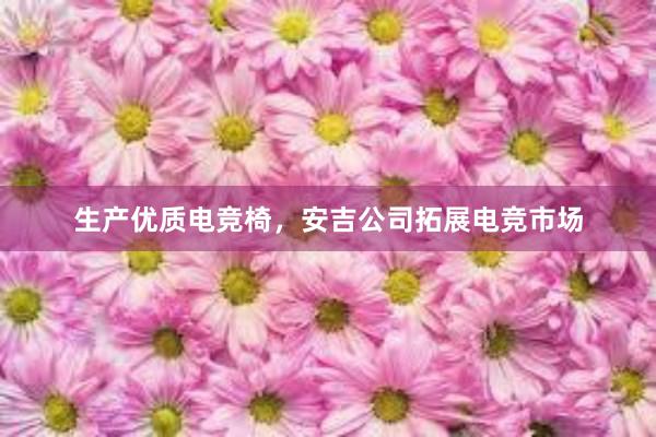 生产优质电竞椅，安吉公司拓展电竞市场