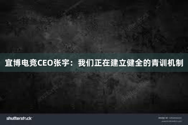 宜博电竞CEO张宇：我们正在建立健全的青训机制