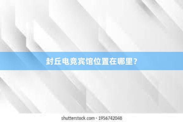 封丘电竞宾馆位置在哪里？