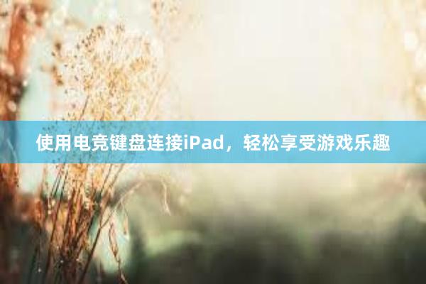 使用电竞键盘连接iPad，轻松享受游戏乐趣